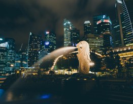 Singapore visa immigration